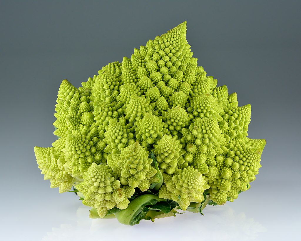 Figure 1: Romanesco broccoli (Brassica oleracea), from Wikipedia